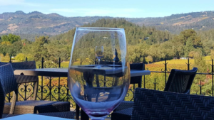An image of a glass of white wine in a vineyard background.