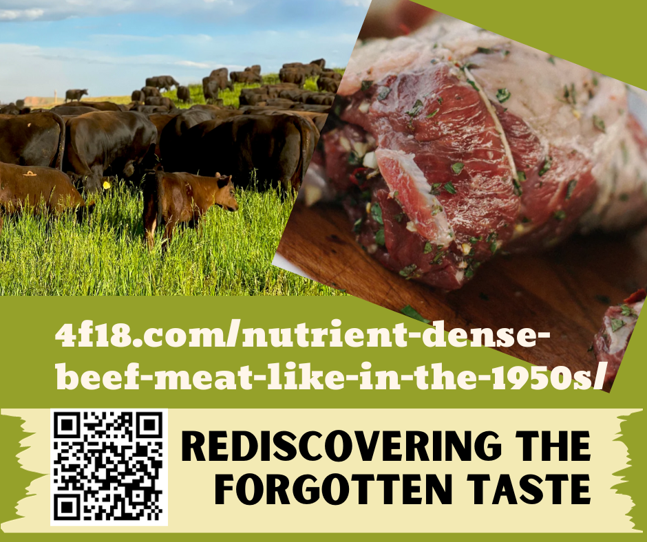 Images of cows eating grass and a chunk of nutrient-dense meat that tastes line in the 1950s. the title is "Rediscovering the Forgotten Taste"